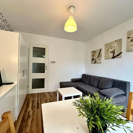 Apartament 3pokojowe Mieszkanie Brzezno